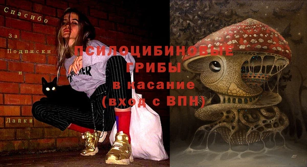 стаф Ростов