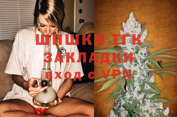 стаф Ростов