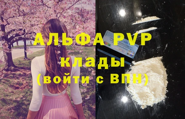 стаф Ростов