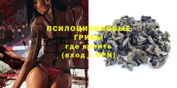 кокс Шенкурск