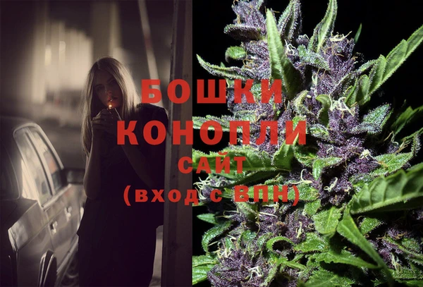 стаф Ростов