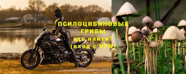 стаф Ростов
