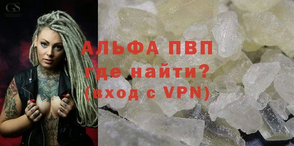 стаф Ростов